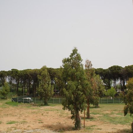 Levante Marina di Schiavonea Dış mekan fotoğraf