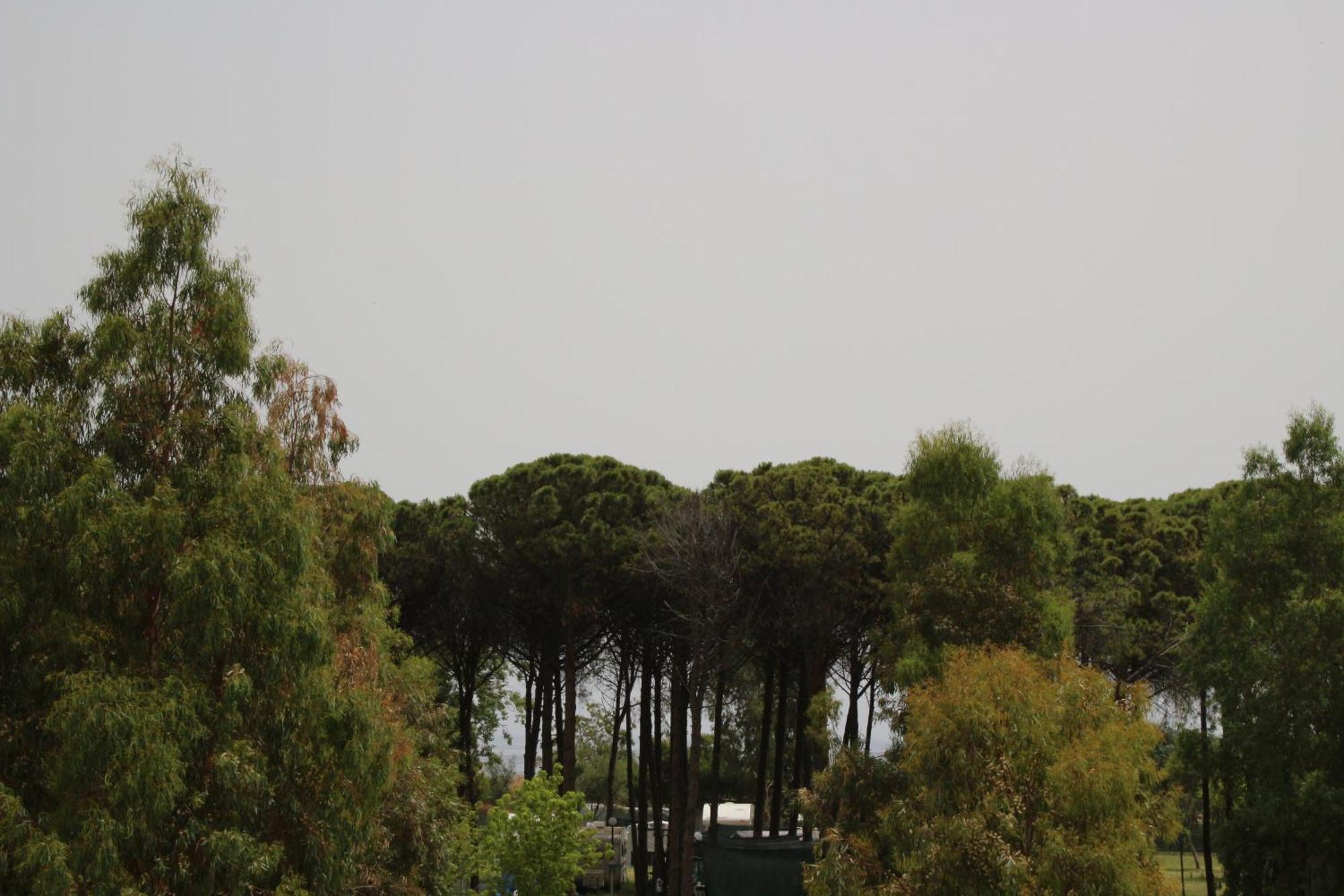 Levante Marina di Schiavonea Dış mekan fotoğraf