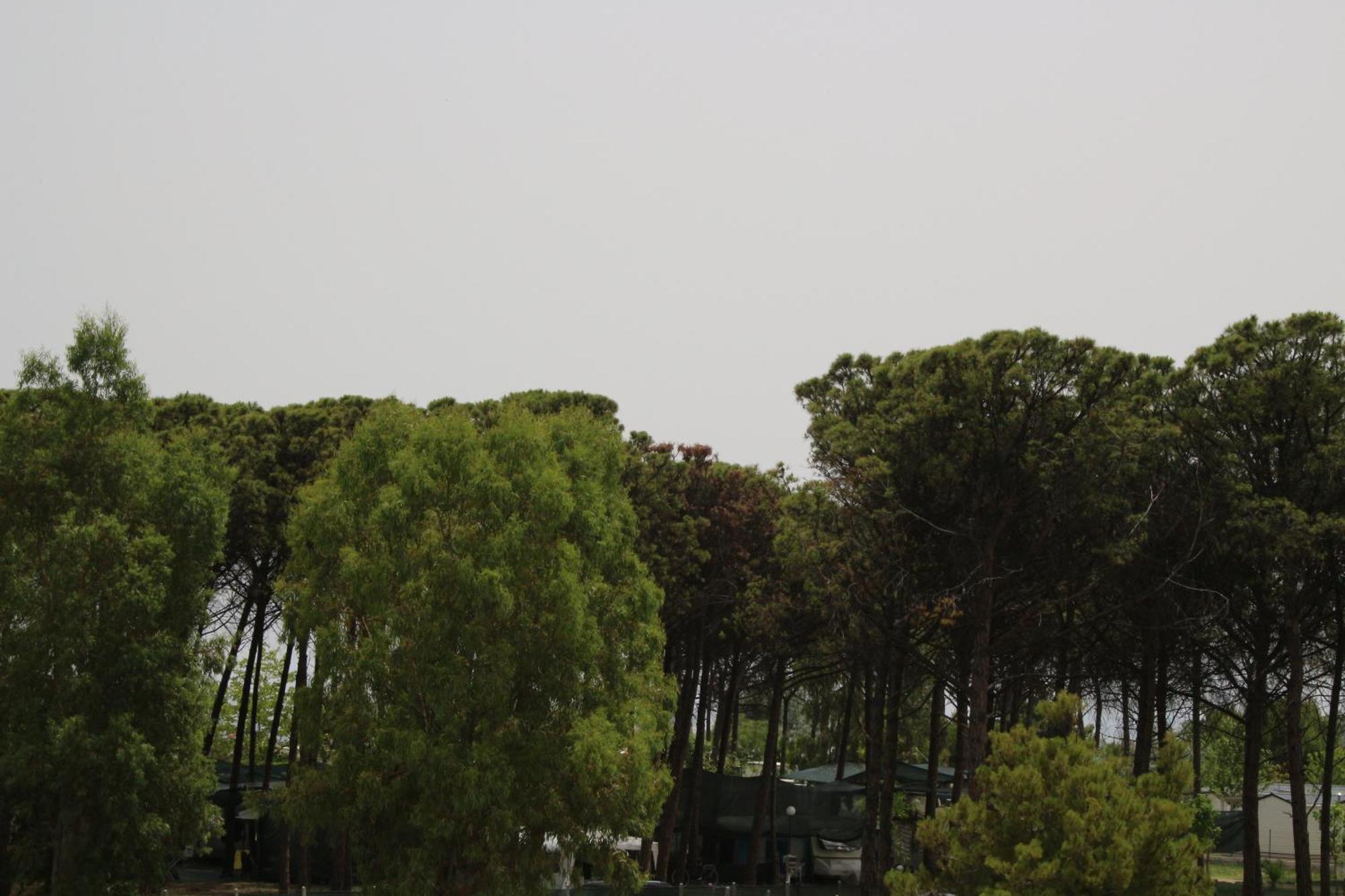 Levante Marina di Schiavonea Dış mekan fotoğraf